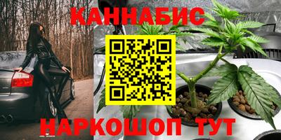 стафф Ливны