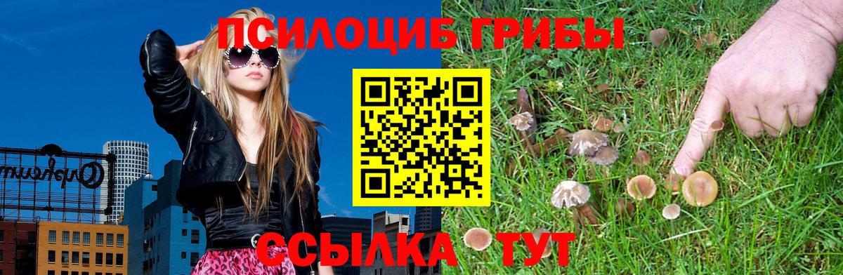 Галлюциногенные грибы ЛСД  Вход с VPN  Псилоцибиновые грибы Psilocybe  Зима 