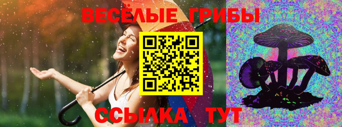 Псилоцибиновые грибы Cubensis Зима